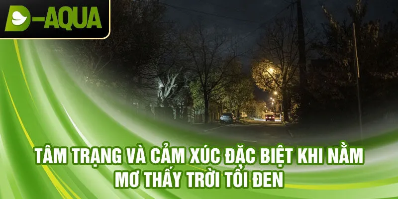 Tâm trạng và cảm xúc đặc biệt khi nằm mơ thấy trời tối đen