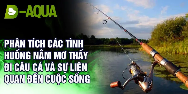 Phân tích các tình huống nằm mơ thấy đi câu cá và sự liên quan đến cuộc sống