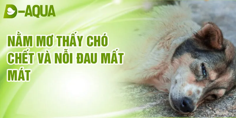 Nằm Mơ Thấy Chó Chết: Bí Ẩn & Điềm Lành Số May 2 Nằm mơ thấy chó chết và nỗi đau mất mát