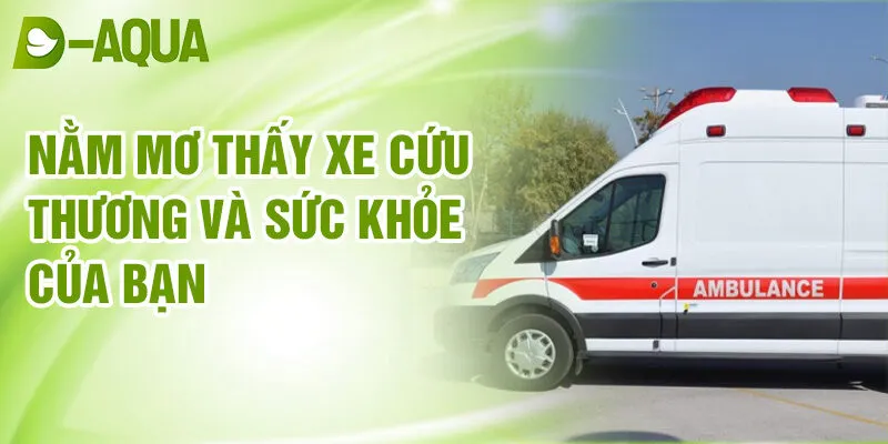 Nằm Mơ Thấy Xe Cứu Thương: Dấu Hiệu Từ Tâm Trạng 2 Nằm mơ thấy xe cứu thương và sức khỏe của bạn