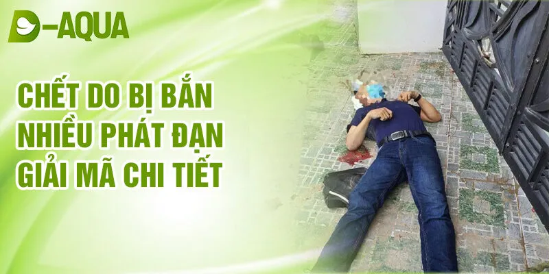 Nằm Mơ Thấy Bị Bắn Chết: Ý Nghĩa Và Số May Mắn 3 Chết do bị bắn nhiều phát đạn giải mã chi tiết