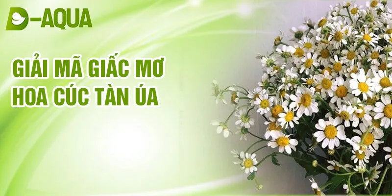 Nằm Mơ Thấy Hoa Cúc: Dự Báo Bí Ẩn Của Đời Sống 3 Giải mã giấc mơ hoa cúc tàn úa