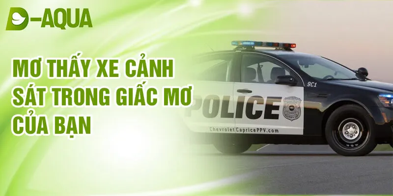 Nằm Mơ Thấy Xe Cảnh Sát: Bật Mí Vận May Bí Ẩn 3 Mơ thấy xe cảnh sát trong giấc mơ của bạn