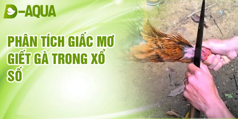 Nằm Mơ Thấy Giết Gà: Điềm Báo Tương Lai & Số May Mắn 3 Phân tích giấc mơ giết gà trong xổ số