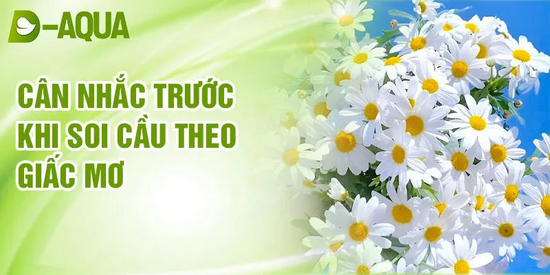 Nằm Mơ Thấy Hoa Cúc: Dự Báo Bí Ẩn Của Đời Sống 4 Cân nhắc trước khi soi cầu theo giấc mơ