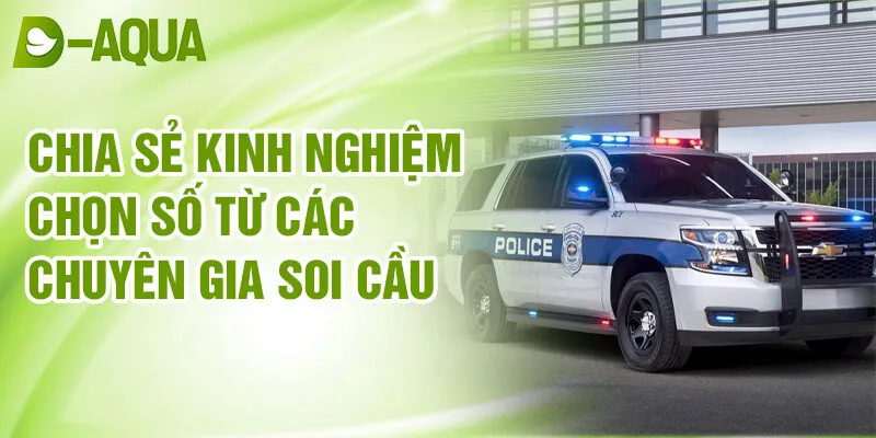 Nằm Mơ Thấy Xe Cảnh Sát: Bật Mí Vận May Bí Ẩn 4 Chia sẻ kinh nghiệm chọn số từ các chuyên gia soi cầu