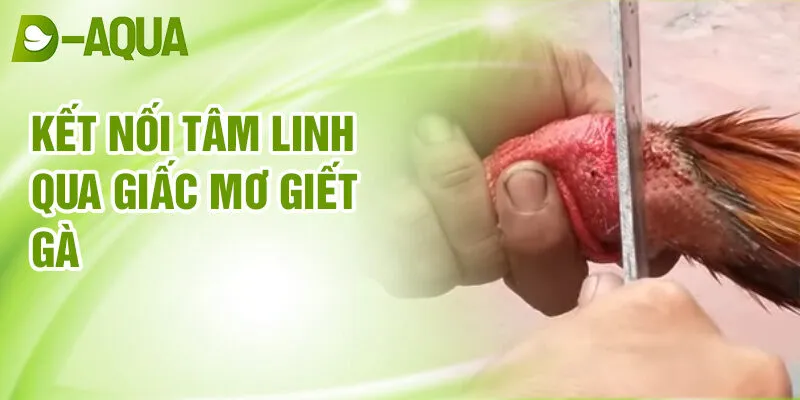 Nằm Mơ Thấy Giết Gà: Điềm Báo Tương Lai & Số May Mắn 4 Kết nối tâm linh qua giấc mơ giết gà
